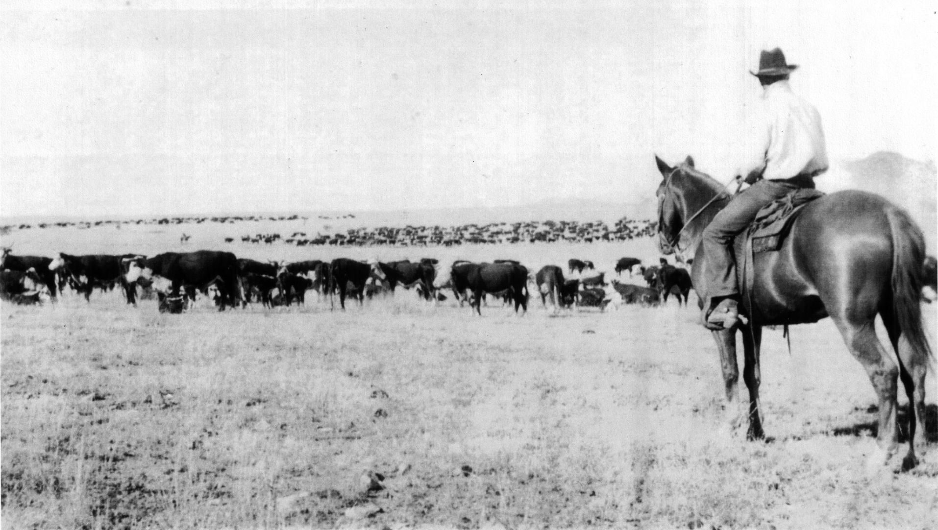 Historic Empire Ranch near Sonoita